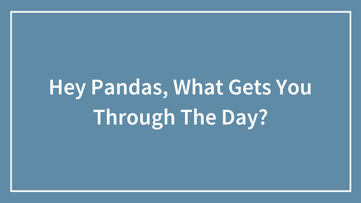 Hey Pandas, What Gets You Through The Day?