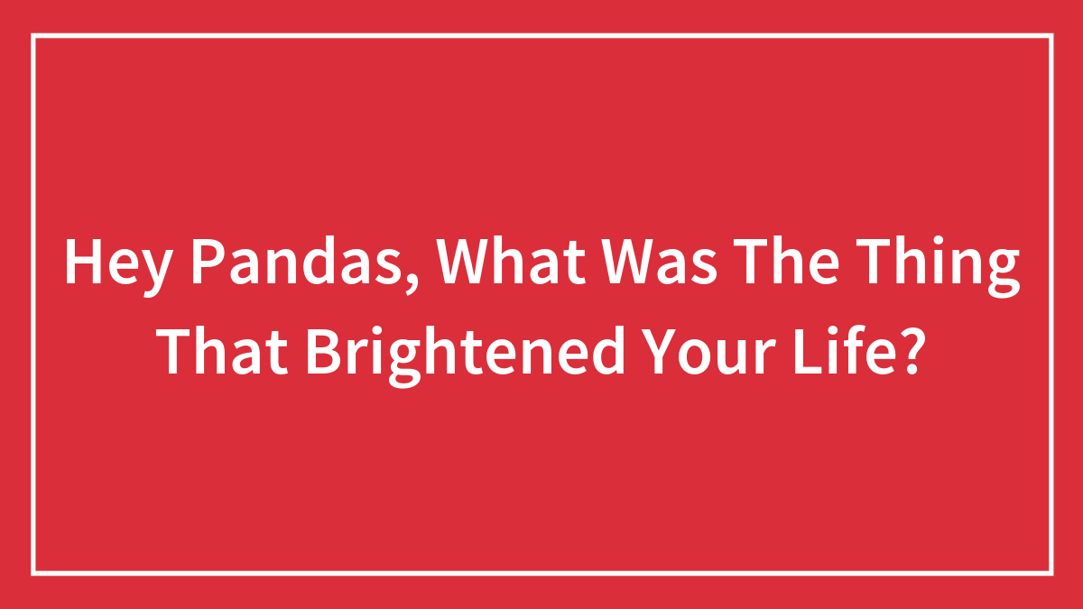 Hey Pandas, What Was The Thing That Brightened Your Life?