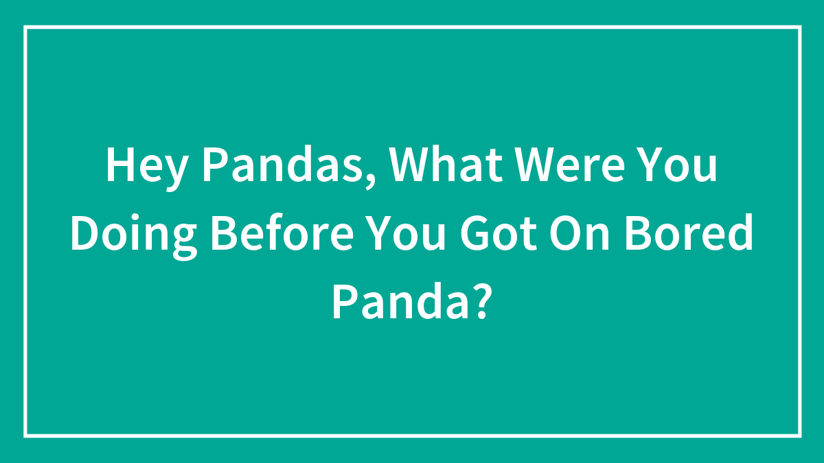 Hey Pandas, What Were You Doing Before You Got On Bored Panda? (Closed)