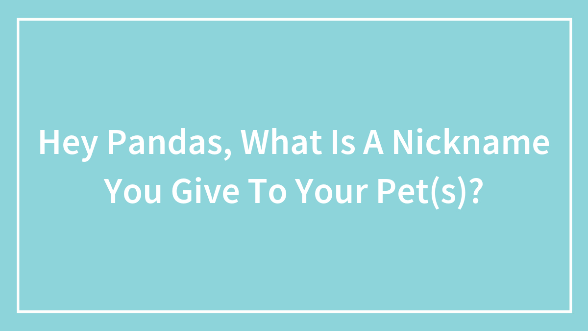 Hey Pandas, What Is A Nickname You Give To Your Pet(s)?