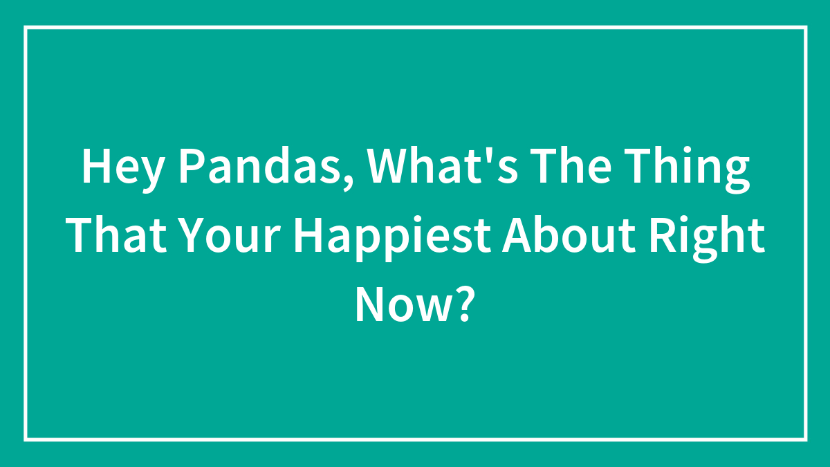 Hey Pandas, What’s The Thing That Your Happiest About Right Now?
