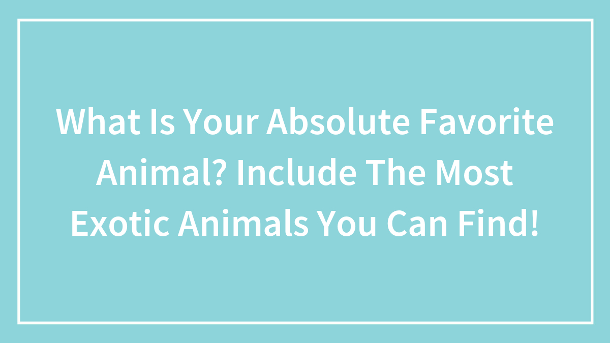 What Is Your Absolute Favorite Animal? Include The Most Exotic Animals You Can Find!