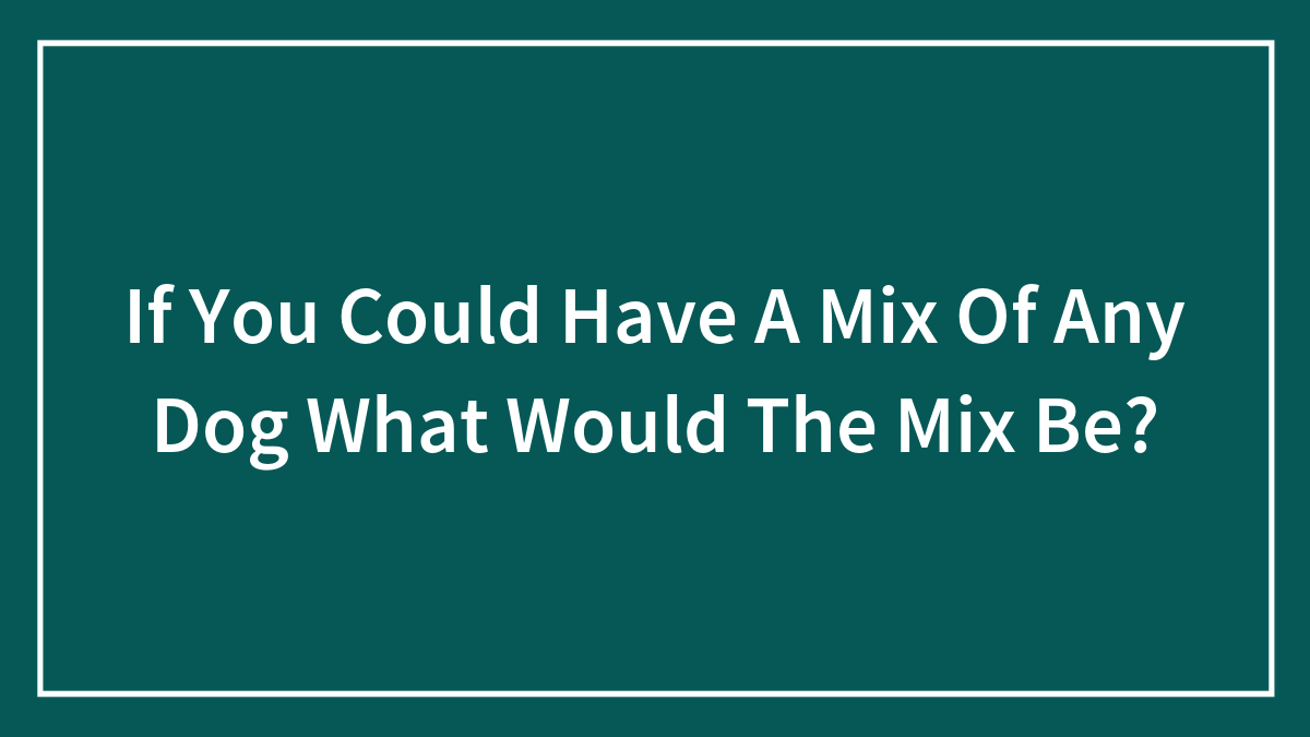 If You Could Have A Mix Of Any Dog What Would The Mix Be?