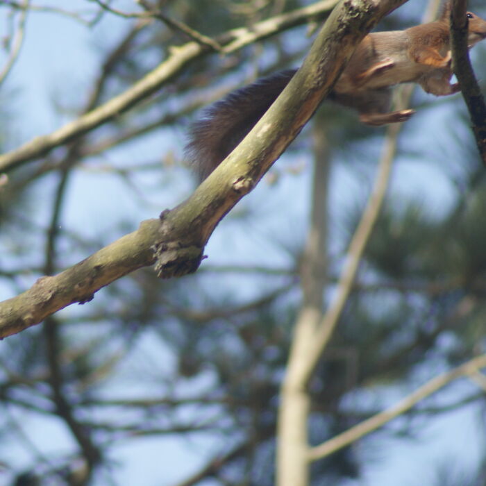 Hey Pandas, Share Your Photos That Could Have Been Perfect, But… (Closed)