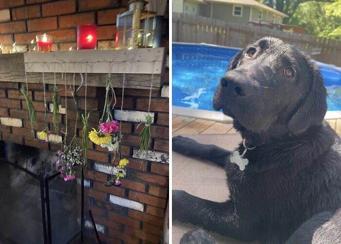 Hey Pandas, Post Your Favorite Things About Warm Weather (Closed)