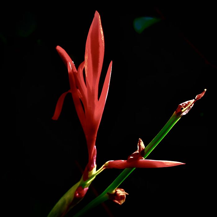 Mildly Good Photography By Me (8 Pics)