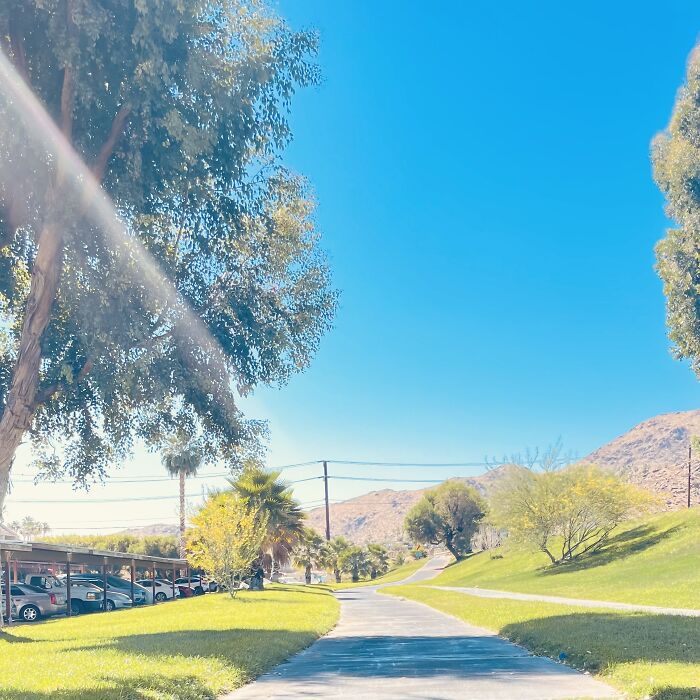 New Pictures That I Took (33 Pics)