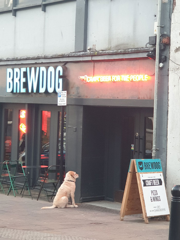Waiting For His Brew