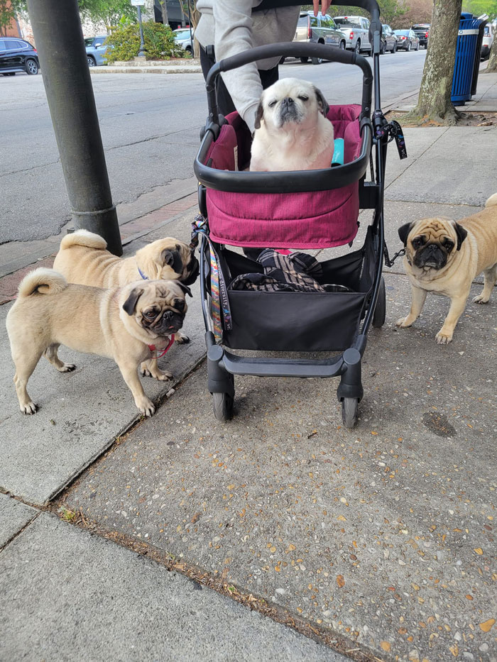 The Gem In The Stroller Is Living Her Best Life At 17 Years Old