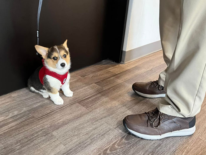 A Teeny Tiny Spot… He Was The Size Of His Dad’s Shoes