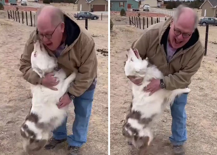 Grandpa’s Worries About Dog Not Recognizing Him After A Year Apart Disappear As Excited Dog Rushes To Him