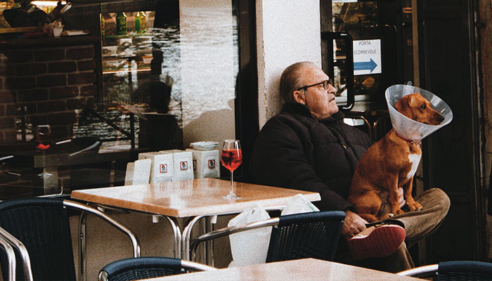 3.8M People Have Adored This Video Of Man Having The Sweetest Dinner Date With His Dog 3.8M People Have Adored This Video Of Man Having The Sweetest Dinner Date With His Dog