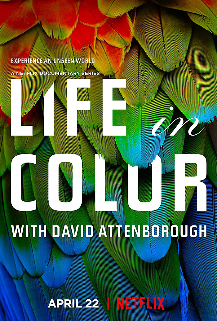 Life In Color With David Attenborough