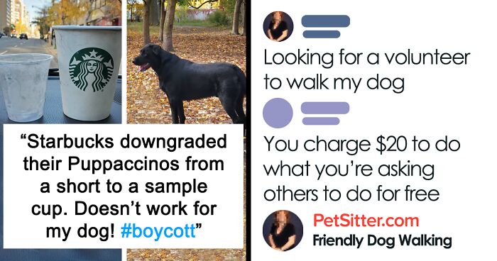 35 Delusional Pet Owners Who Have Lost Touch With Reality35 Delusional Pet Owners Who Have Lost Touch With Reality