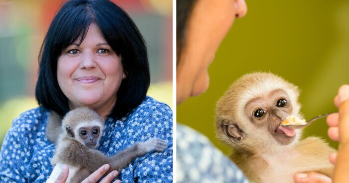 A Drama With A Happy Ending At The Skopje Zoo