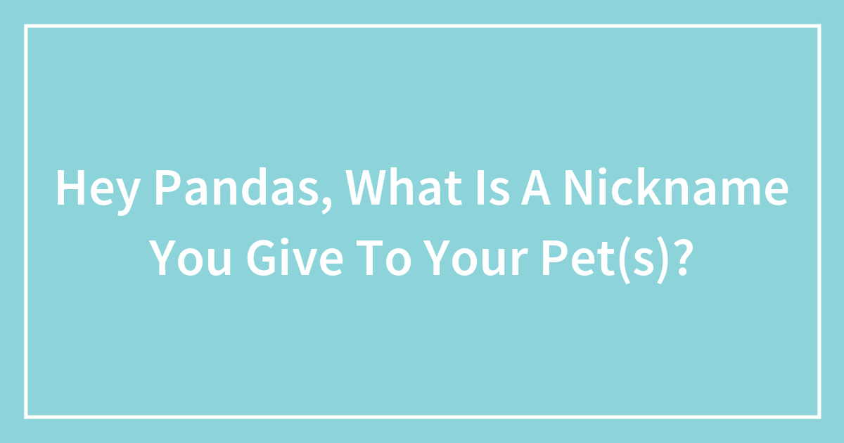 Hey Pandas What Is A Nickname You Give To Your Pet s Bored Panda