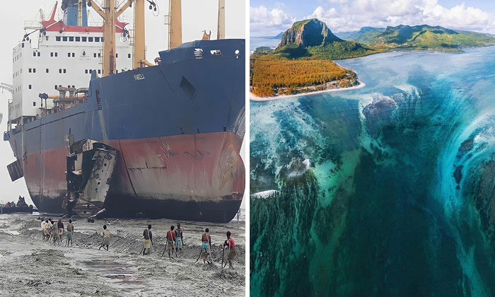 People Are Sharing Their Megalophobia Moments, And Here Are 50 Pics That Creeped Them Out (New Pics)