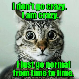 crazycatgirl707 avatar