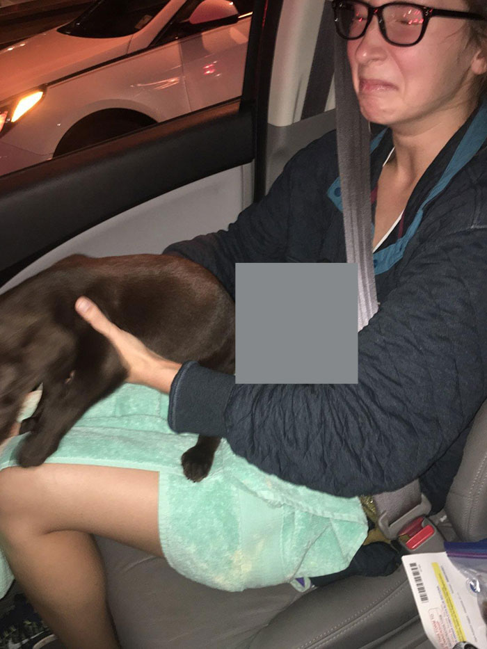 I See Your Puppy Throwing Up On Ride Home, And Raise You Our Puppy Having Explosive Diarrhea All Over My Wife