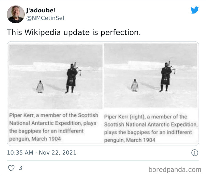 Indifferent Penguin (Left)