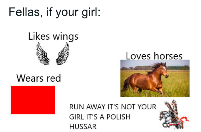 Polish Horse