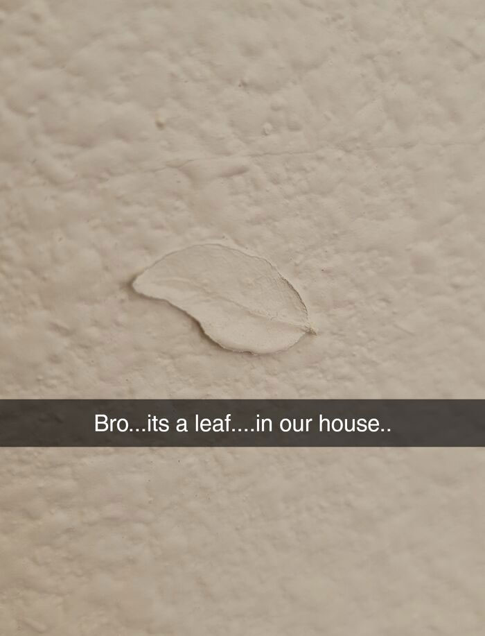 The Contractor Painted Over A Leaf In Our Master Bedroom
