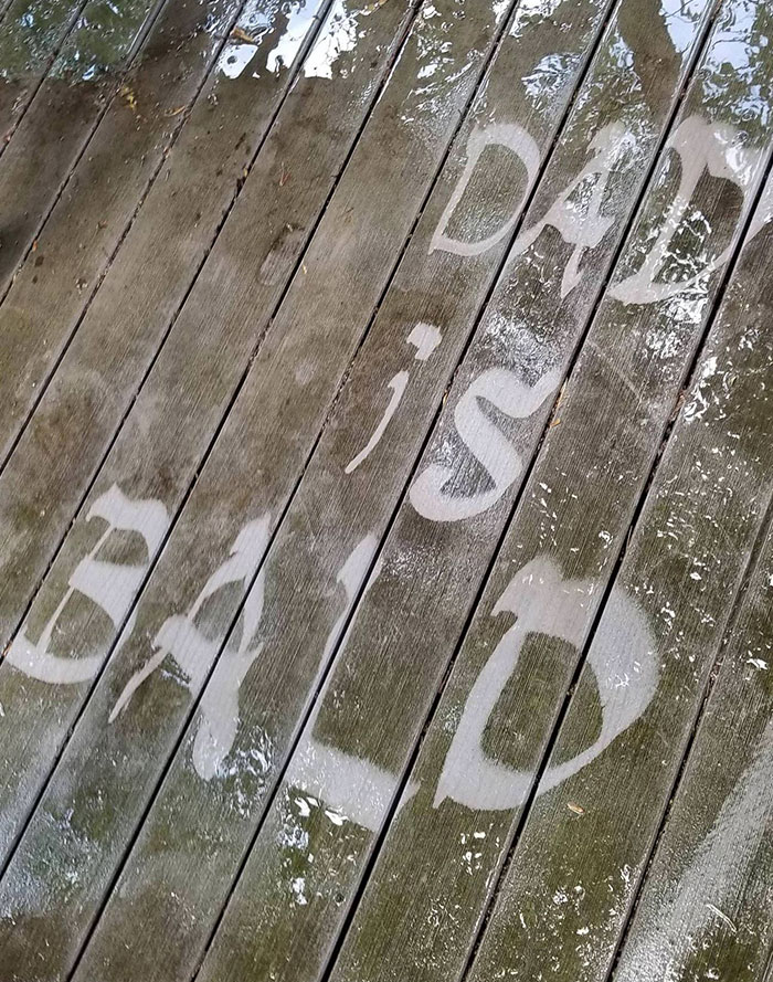 My Kid's Grounded So She Had To Help Power Wash The Deck. I Came Back To This. Grounding Extended
