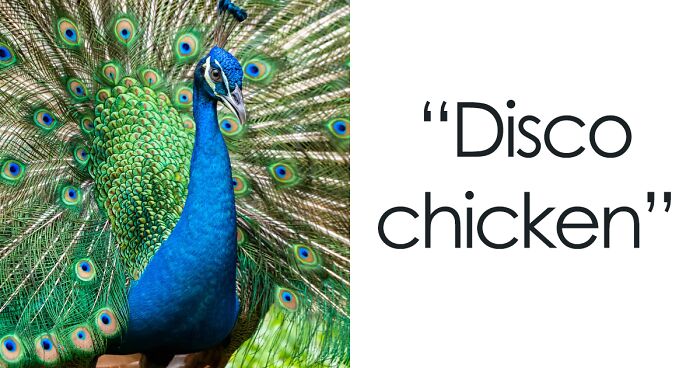 40 Times People Failed To Remember What A Simple Thing Is Called So They Came Up With The Most Hilarious New Name