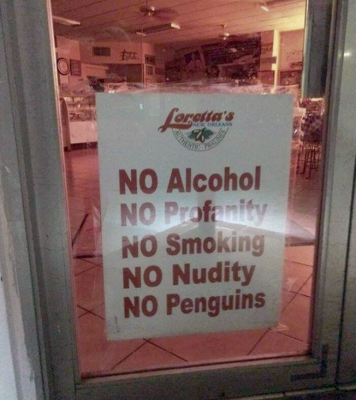 Penguins Steal The Ice Cream