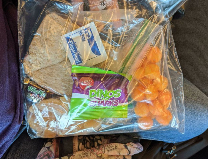 My Mom Packed A Lunch For Me For My Flight Today. I'm 47 Going On 8