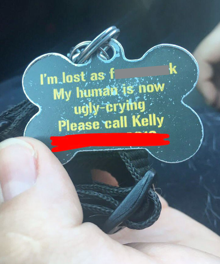 The Collar My Mom Has For Her Dog