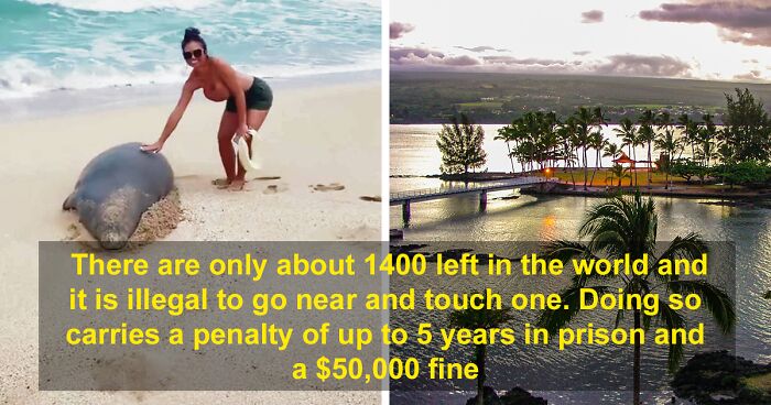 “Our Tourism Industry Produces A False Version Of Hawaiʻi”: Hawaiʻian Discourages People From Visiting Hawaiʻi If They’re Gonna Be Disrespectful There