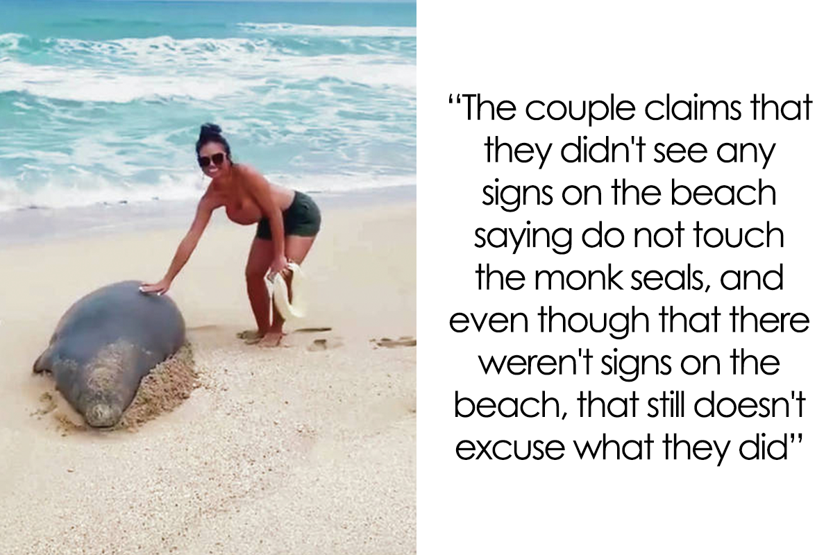 Our Tourism Industry Produces A False Version Of Hawai i Hawai ian