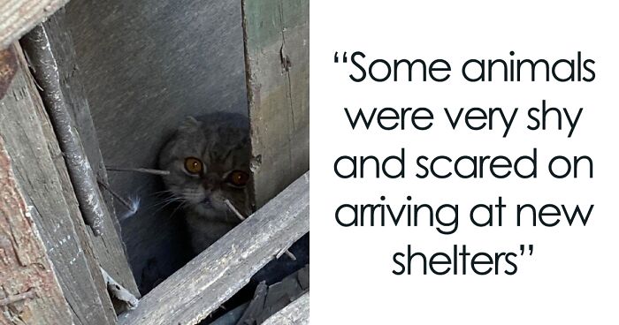 Thanks To All Pandas, We’ve Been Able To Help Thousands Of Animals Across War-Torn Ukraine And Here’s Your Funds In Action