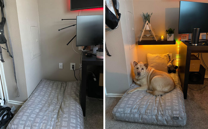 No puedo hacer mucho en mi apartamento, pero decidí hacer más acogedora la “habitación” de nuestro perro