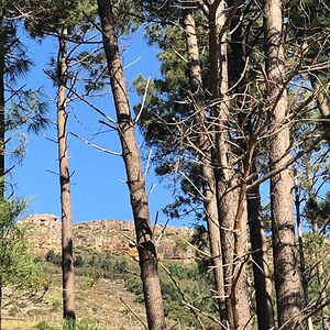 christamarie22 avatar