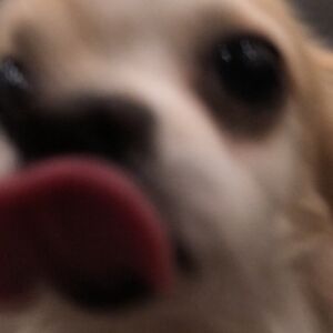 marcelina030408 avatar