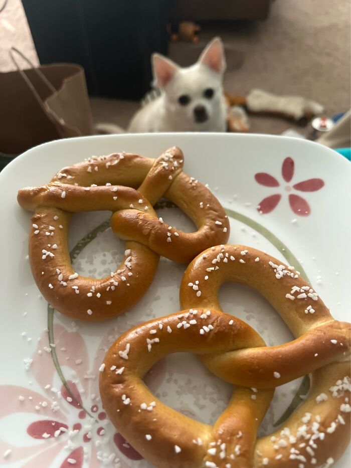 Just Trying To Eat Pretzels Here
