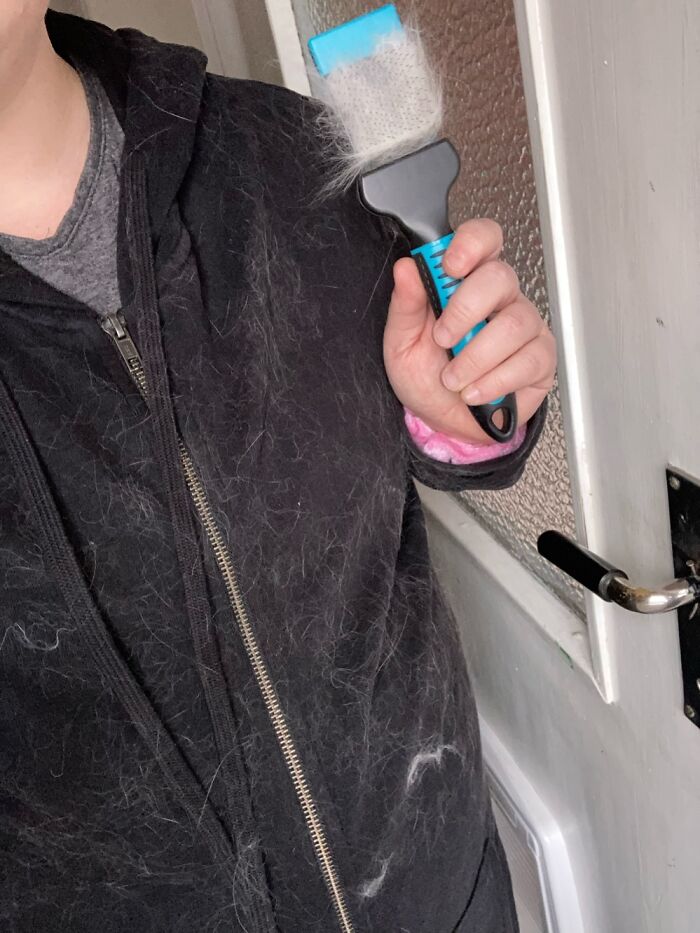 Seriously Contemplating Getting One Of Those “Crafting With Cat Hair” Books