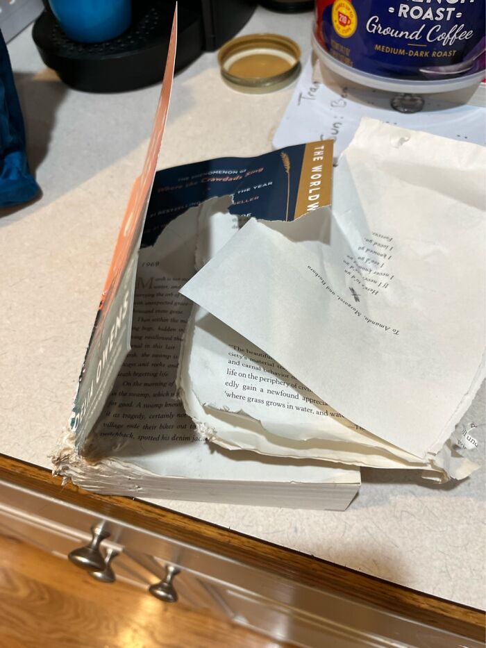 My Dog Decided To Check Out My New Book When I Got Up To Get A Drink
