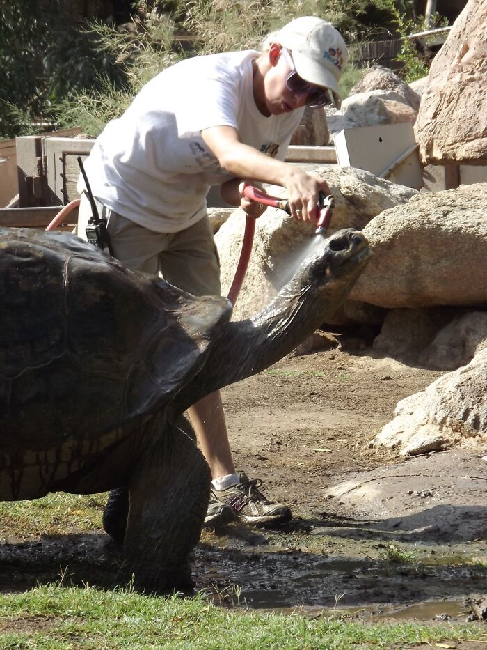 Zookeeper - I Loved The Tortoises