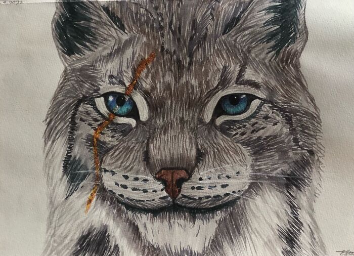 Here's Another Of My Cat Creations