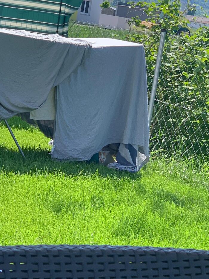 Drying Laundry Outside In Minutes 🥰