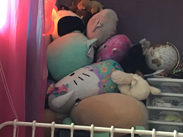 Thousands Of Squishmallows And Other Animals