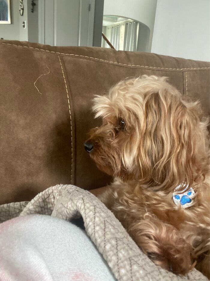 Jensen Aka Jenny Boo-Boo Bear