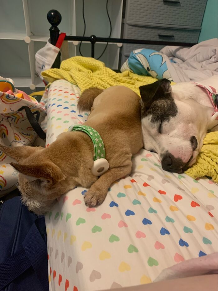 Most Recent Image Not Including Work Pictures, Personal Info, Or Blood/Gore.