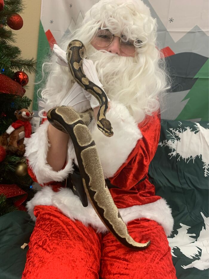 Onigiri Visits Santa