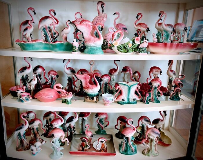 My Flamingo Collection…