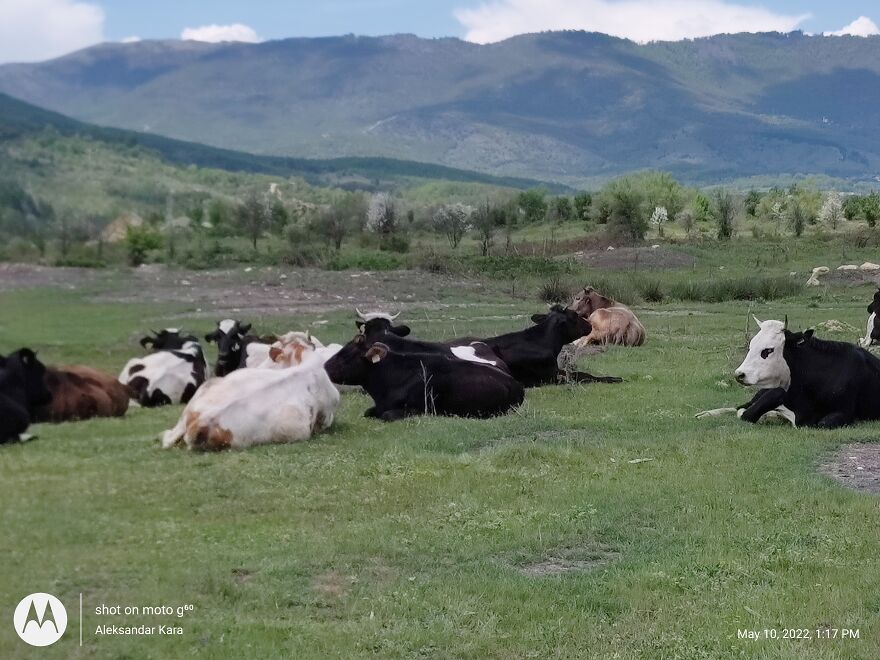 When Your Mind Is Clear And You Are Living The Moment