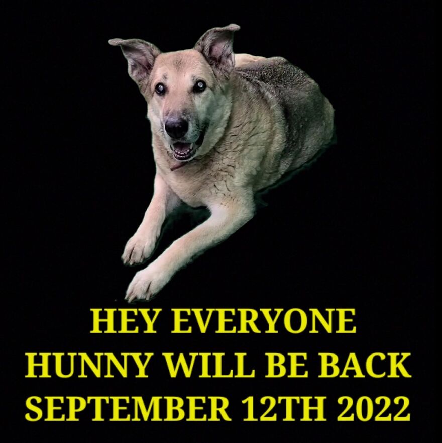 Hunny Will Be Back On September 12th 2022